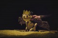 Фото 4  из Научи меня летать