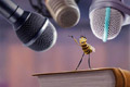 Кадр  1  из Би Муви: медовый заговор / Bee Movie