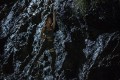 Кадр  4  из Tomb Raider: Лара Крофт / Tomb Raider