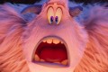 Кадр  3  из Смолфут / Smallfoot