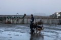 Кадр  4  из Догмэн / Dogman