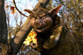 Кадр  11  из Спайдервик: хроники / Spiderwick Chronicles, The