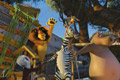 Кадр  4  из Мадагаскар 2 / Madagascar: Escape 2 Africa