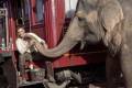 Кадр  2  из Воды слонам! / Water for Elephants