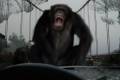 Кадр  5  из Восстание планеты обезьян / Rise of the Planet of the Apes