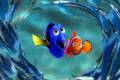 Кадр  1  из В поисках Немо 3D / Finding Nemo