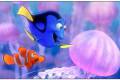 Кадр  5  из В поисках Немо 3D / Finding Nemo