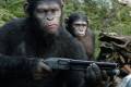 Кадр  2  из Планета обезьян: Революция / Dawn of the Planet of the Apes