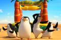 Кадр  3  из Пингвины Мадагаскара / Penguins of Madagascar