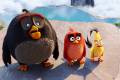 Кадр  1  из Angry Birds в кино / The Angry Birds Movie