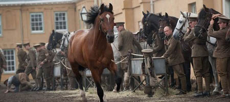 Боевой конь / War Horse