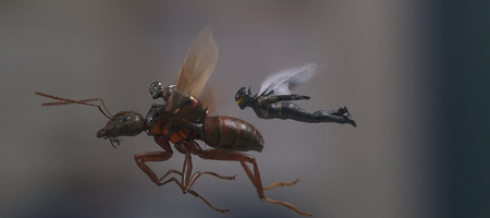 Человек-Муравей и Оса / Ant-Man and the Wasp