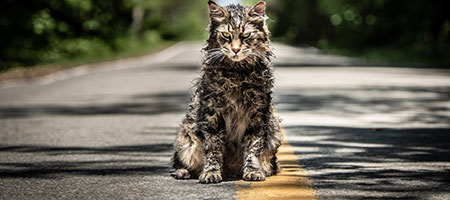 Кладбище домашних животных / Pet Sematary