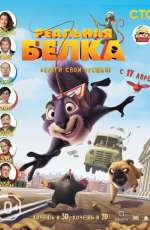 Постер Реальная белка / The Nut Job