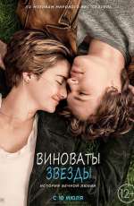 Постер Виноваты звезды / The Fault in Our Stars