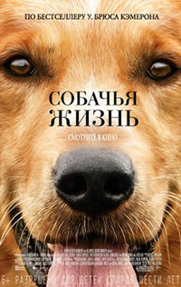 Постер Собачья жизнь / A Dog's Purpose