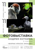 Постер Коткин Андрей. Форма! Краска! Эмоция! Постер Коткин Андрей. Форма! Краска! Эмоция!