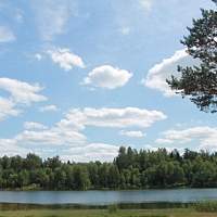 Иностранцы приезжают в Новгородскую область, чтобы отдохнуть на природе