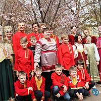 Новгородский оркестр «Мозаика» выступил в Ботаническом саду Петра Великого в дни цветения сакуры