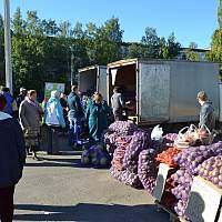 Стало известно, когда в Новгородской области стартуют осенние сельхоз ярмарки