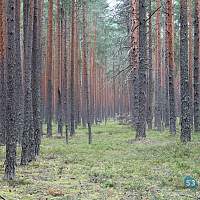 В Новгородской области пройдут экспедиции по обновлению карт почв