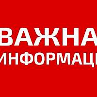 Жителей Новгородчины просят помочь в поисках двух заблудившихся в лесу женщин